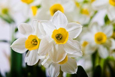 《博德之门3》总监玩得最多的游戏是魔兽 从小玩游戏上瘾